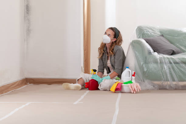 Reliable Basement Mold Remediation contractor in Accokeek, MD by WQB Mold Removal